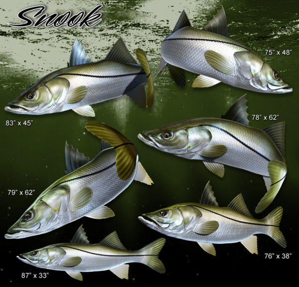 Snook 5 Vehicle Wrap Design — Large Scale Artwork for Wide Format Printing | Categories: PIK6 Everyday, Fishing
