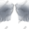 Angel Wings Vehicle Wrap Design — Large Scale Artwork for Wide Format Printing | Categories: PIK6 Everyday, Nature