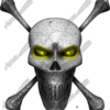 Skull With Crossbones 5 Vehicle Wrap Design — Large Scale Artwork for Wide Format Printing | Categories: Skulls