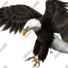 Attack Eagle Vehicle Wrap Design — Large Scale Artwork for Wide Format Printing | Categories: PIK6 Everyday, Nature