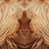 Hair 2 Vehicle Wrap Design — Large Scale Artwork for Wide Format Printing | Categories: Nature