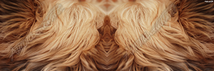 Hair 2 Vehicle Wrap Design — Large Scale Artwork for Wide Format Printing | Categories: Nature