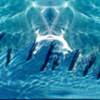Pool Water Rip 3 Vehicle Wrap Design — Large Scale Artwork for Wide Format Printing | Categories: Nature