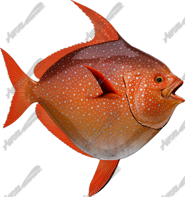 Opah