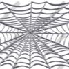 Spider Web Thick Vehicle Wrap Design — Large Scale Artwork for Wide Format Printing | Categories: Nature