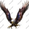 American Eagle Flight Angled