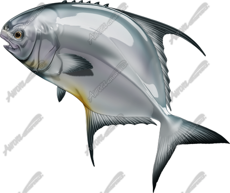 Permit