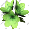 Flowers 2 Vehicle Wrap Design — Large Scale Artwork for Wide Format Printing | Categories: PIK6 Everyday, Nature