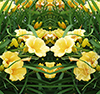 Day Lilies 1 Vehicle Wrap Design — Large Scale Artwork for Wide Format Printing | Categories: Nature