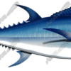 Bluefin Tuna