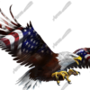 American Eagle Flight Side
