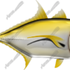Crevalle Jack