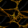 Webinator, 3D, wrap background, spider web, web, webs, spider, thin, light, abstract, dark, space, alien, universe, telecom, Halloween, scary, deadly, death, spin, spun, street custom, SEMA, pest control, spider man. Design Graphics High Resolution Image.