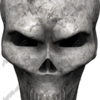 Bone Skull Angle 3 Vehicle Wrap Design — Large Scale Artwork for Wide Format Printing | Categories: Skulls