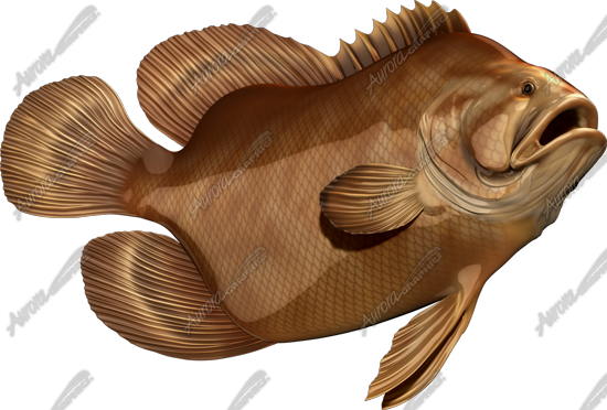 Tripletail