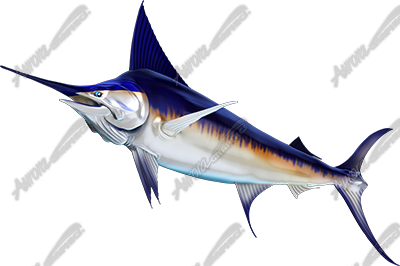 Swordfish