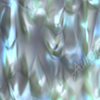 Abalone, water, abstract, wild, weird, ocean, turquoise, shell, beach, vacation, leisure, seashell, pearl, pearls, colorful, tranquil, opalescent, print fill, fills, banners, signage, signs. Design Graphics High Resolution Image.