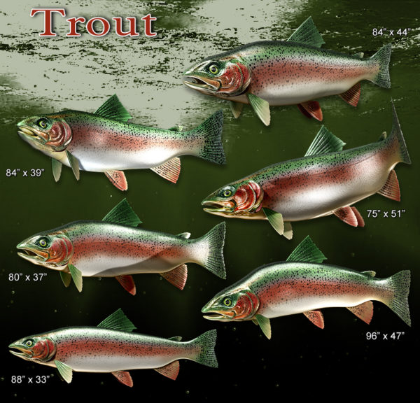 Trout Fish
