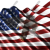 Waving American Flag Flying Eagle 2 Cloth