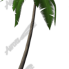 Palm Tree 1 Vehicle Wrap Design — Large Scale Artwork for Wide Format Printing | Categories: Nature