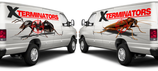 Red Ant 1 Vehicle Wrap Design — Large Scale Artwork for Wide Format Printing | Categories: PIK6 Everyday, Commercial, Industry, Nature