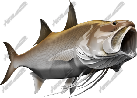 King Threadfin