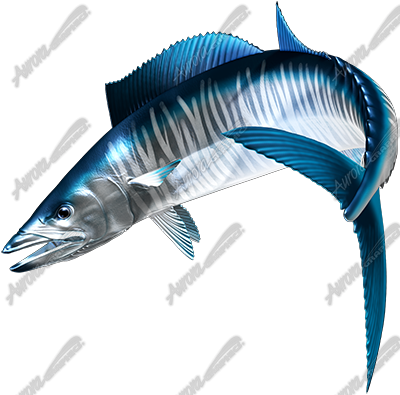Wahoo