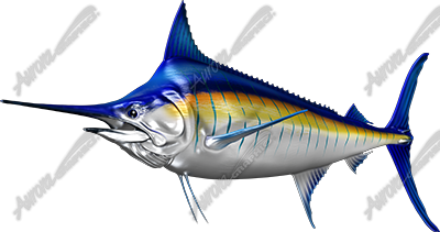 Blue Marlin