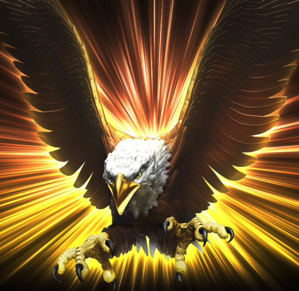 Eagle Flight Angled Vehicle Wrap Design — Large Scale Artwork for Wide Format Printing | Categories: PIK6 Everyday, Nature
