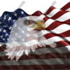 Waving American Flag Eagle Head