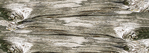 Gray Wood - FREE Vehicle Wrap Design — Large Scale Artwork for Wide Format Printing | Categories: Textures & Fills, Wood Textures