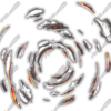 Molten Chunks is a bold and edgy abstract design element that radiates raw energy and intensity. Featuring fragmented, irregular shapes that spiral outward from the center, Molten Chunks captures the explosive motion of molten metal bursting apart. Each piece in the Molten Chunks composition appears to be forged in fire—visually echoing the look of molten lead, partially cooled and torn through space. This makes Molten Chunks perfect for high-impact, aggressive design projects that need to stand out.