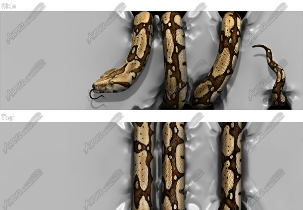 Boa Constrictor Crushing Vehicle Vehicle Wrap Design — Large Scale Artwork for Wide Format Printing | Categories: Commercial, Nature