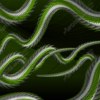 Virus is a dynamic and edgy abstract image that brings a sense of motion, tension, and depth to any design. With twisted, serpent-like elements that coil and sweep across the canvas, Virus creates a dramatic visual experience that’s both aggressive and controlled. This large-format digital image is built for high-impact design work, with enough complexity to catch the eye while still offering flexibility for integrating text and branding. High Resolution Design Graphics Image.