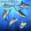 Striped Marlin Fish