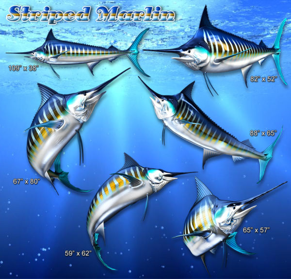 Striped Marlin Fish