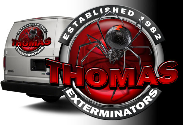 Black Widow 3 Vehicle Wrap Design — Large Scale Artwork for Wide Format Printing | Categories: PIK6 Everyday, Commercial, Industry, Nature