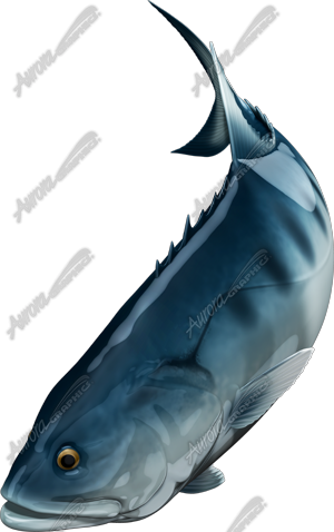 Talang Queenfish