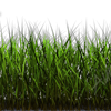 Tall Grass Vehicle Wrap Design — Large Scale Artwork for Wide Format Printing | Categories: PIK6 Everyday, Nature