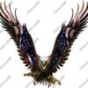 American Eagle Flight Straight