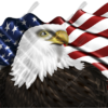 Waving American Flag Eagle Head 2 Cloth