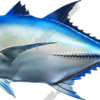 Giant Trevally