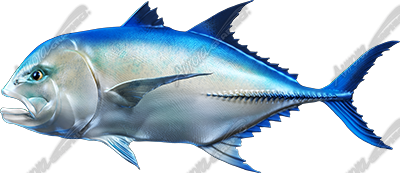 Giant Trevally