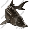 Sturgeon