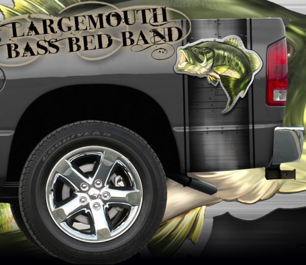 Largemouth Bass Bed Band 2