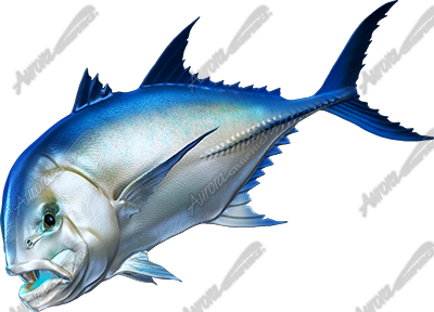 Giant Trevally