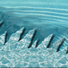 Pool Water Rip 4 Vehicle Wrap Design — Large Scale Artwork for Wide Format Printing | Categories: Nature