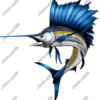 Sailfish