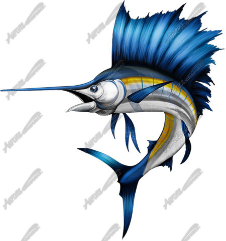 Sailfish
