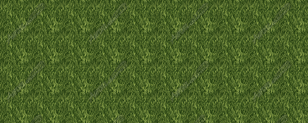 Grass 1 Vehicle Wrap Design — Large Scale Artwork for Wide Format Printing | Categories: Nature